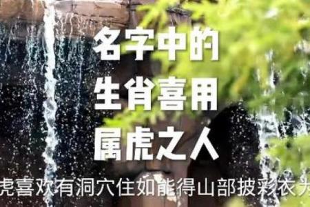 晚上12点出生的属虎男孩起什么名，宜用什么字姓名
