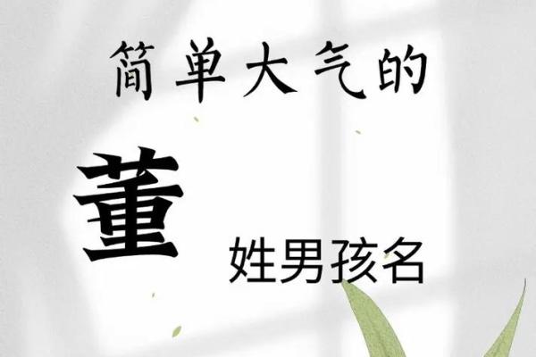 董姓女孩名字大全-董姓女孩起名字大全-董姓名字大全姓名