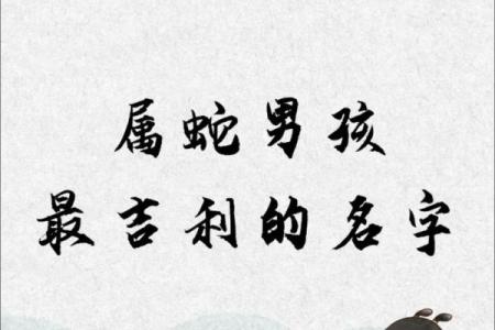 5月份出生的属蛇男孩应该怎样取名字姓名