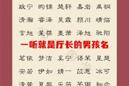 2019年6月15号丑时出生的男孩起名方法姓名