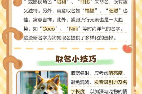 适合给属狗丑时出生的男孩取的起名,宜用字姓名 适合给属狗丑时出生的男孩取的起名,宜用字姓名