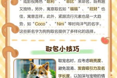 适合给属狗丑时出生的男孩取的起名，宜用字姓名