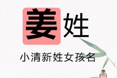 姜姓女孩名字大全-姜姓女孩起名字大全-姜姓名字大全姓名