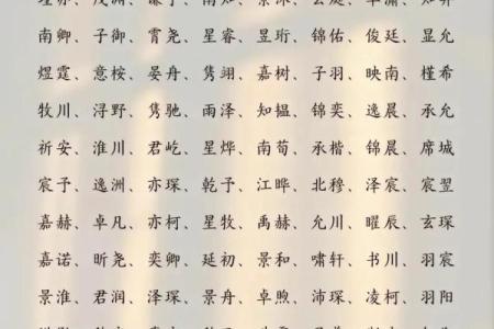 属鸡辰时出生的男孩如何起名，宜用什么字姓名