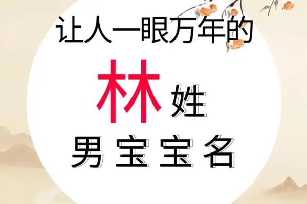 林姓男孩名字大全-林姓男孩起名字大全-林姓名字大全姓名 林姓男孩名字大全-林姓男孩起名字大全-林姓名字大全姓名