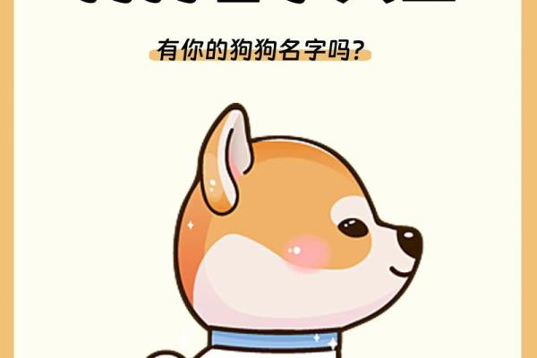 下午五点出生的属狗男孩取什么名,适合什么字姓名 下午五点出生的属狗男孩取什么名,适合什么字姓名