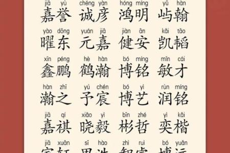 2019年5月31号子时出生的男孩应该起什么样的名字姓名