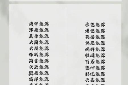 电器安装公司名字大全-名字大全姓名