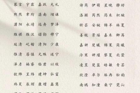 2019年4月19号丑时出生的男孩如何起名姓名