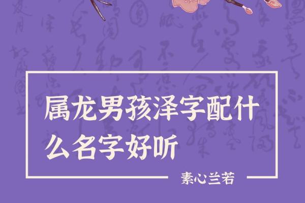 2月份出生的属龙男孩如何起名姓名 2月份出生的属龙男孩如何起名姓名