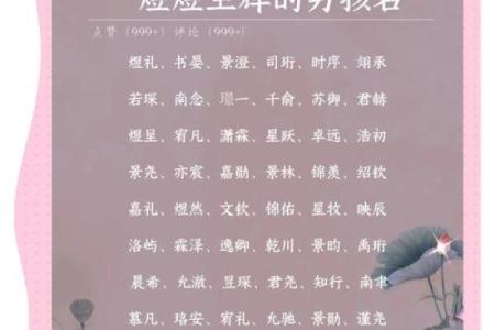 2019年4月24号寅时出生的男孩应该起什么样的名字姓名