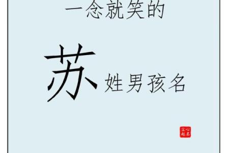 姓苏的名人-名人大全-姓名学-华易算命网姓名