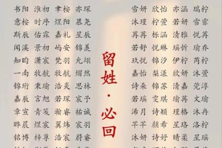 2019年3月24号巳时出生的男孩起名时要注意什么姓名