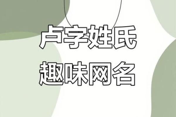 卢姓女孩名字大全-卢姓女孩起名字大全-卢姓名字大全姓名 卢姓女孩名字大全-卢姓女孩起名字大全-卢姓名字大全姓名
