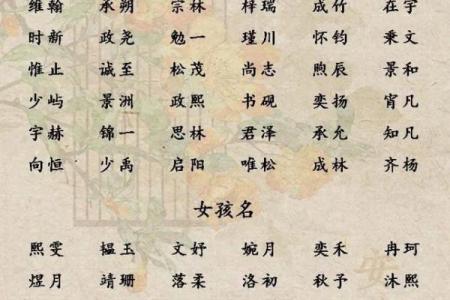 2019年3月23号子时出生的男孩要怎么起名字姓名