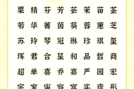 谈谈如何给属鼠末时的男孩取名姓名