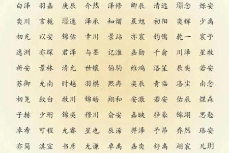 2019年6月22号子时出生的男孩应该起什么样的名字姓名