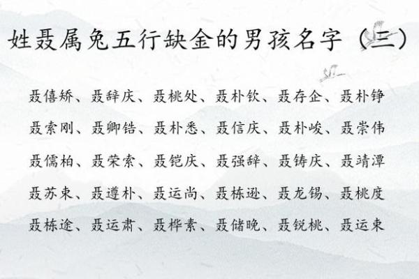 2019年4月4号寅时出生的男孩如何起名姓名