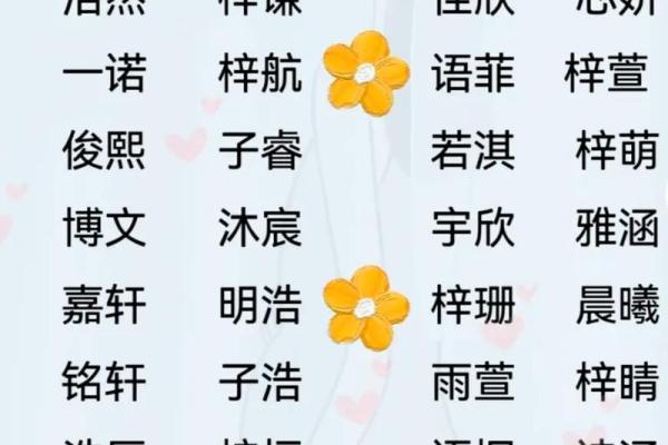 2021端午节出生的宝宝最好听响亮小名大全姓名