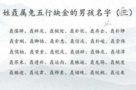 2019年4月4号寅时出生的男孩如何起名姓名