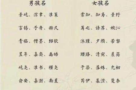 2019年3月28号午时出生的男孩起名方法姓名