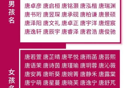 唐姓男孩名字大全-唐姓男孩起名字大全-唐姓名字大全姓名