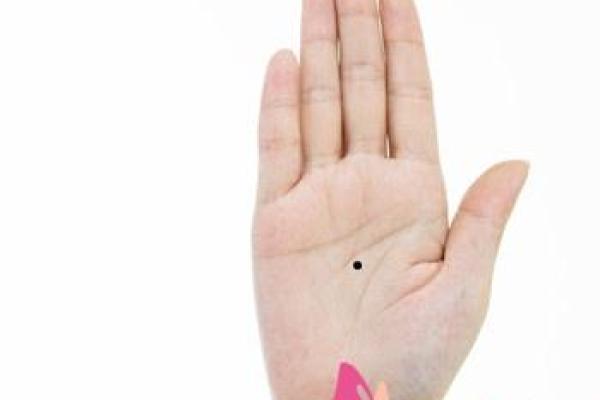 姓庞的名人-姓名学-华易算命网姓名