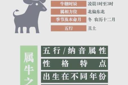 午时出生的属牛男孩适合用哪些字起名姓名