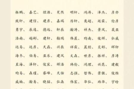 洋气的男孩名字-名字大全-姓名学-华易算命网姓名