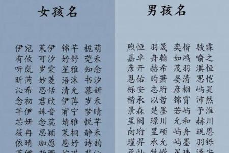 2019年3月23号辰时出生的男孩如何起名姓名