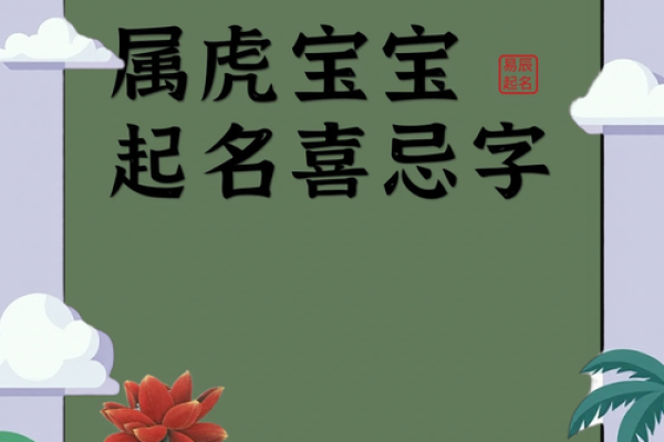 下午3点出生的属虎男孩如何起名，用什么字姓名