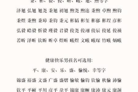 上午出生的属鼠男孩起名宜用什么字姓名