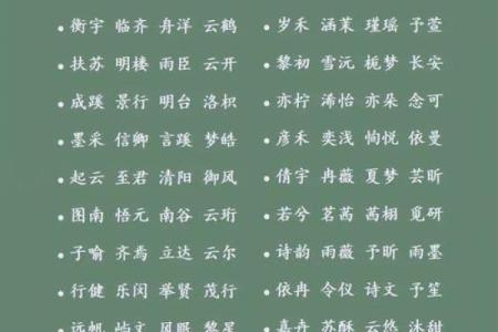 2019年3月16号申时出生的男孩要怎么起名字姓名