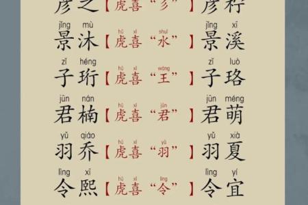 晚上9点出生的属虎男孩如何起名，宜用什么字姓名