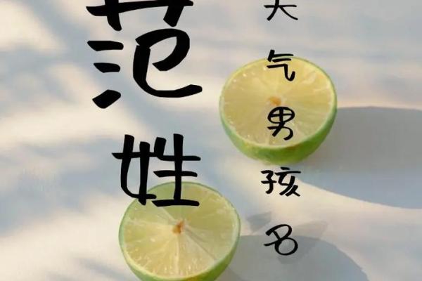 范姓女孩名字大全-范姓女孩起名字大全-范姓名字大全姓名
