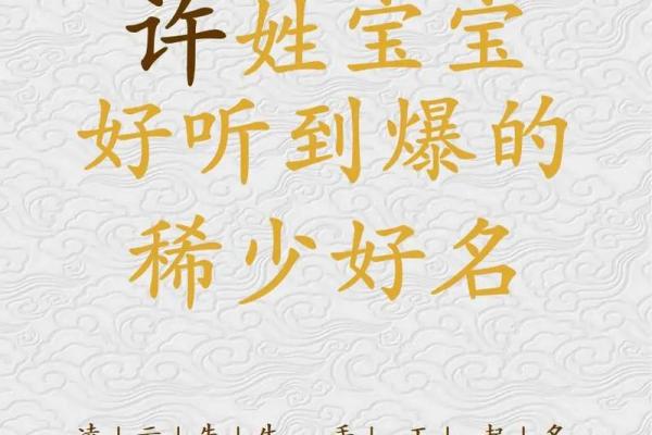 许姓女孩名字大全-许姓女孩起名字大全-许姓名字大全姓名