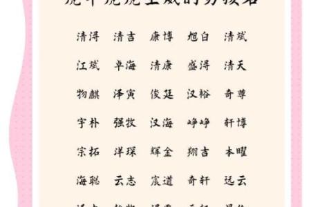 凌晨四点出生的属虎男孩应该取什么名，宜用什么字。姓名