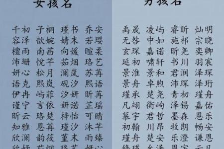 早上十一点出生的属猴男孩怎样取名，宜用什么字姓名