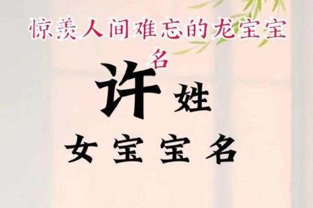 许姓女孩名字大全-许姓女孩起名字大全-许姓名字大全姓名