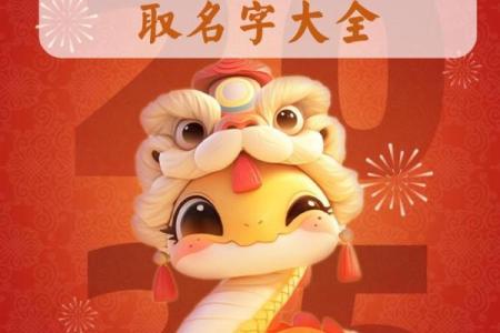 胡姓女孩名字大全-胡姓女孩起名字大全-胡姓名字大全姓名