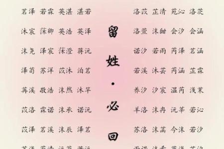 属鸡申时出生的男孩该如何起名，宜用什么字姓名