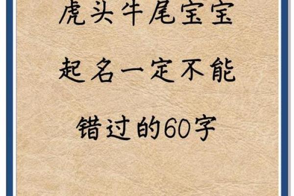 中午12点出生的属虎男孩如何起名，宜用什么字姓名