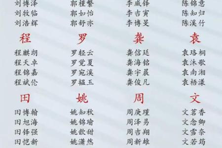 2019年5月31号丑时出生的男孩起名时要注意什么姓名