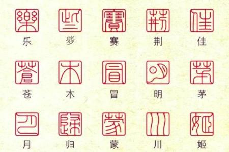 臧姓女孩名字大全-臧姓女孩起名字大全-臧姓名字大全姓名