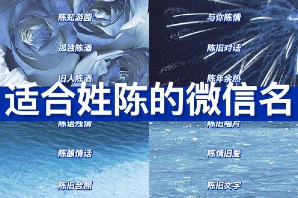 陈姓男孩名字大全-陈姓男孩起名字大全-陈姓名字大全姓名