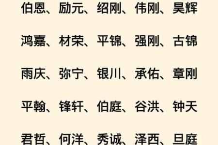 2019年3月20号酉时出生的男孩起名方法姓名