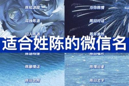 陈姓男孩名字大全-陈姓男孩起名字大全-陈姓名字大全姓名