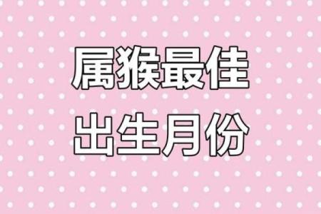 12月份出生的属猴男孩如何取名是好-姓名