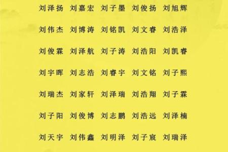 论如何给属鼠午时出生的男孩起名姓名