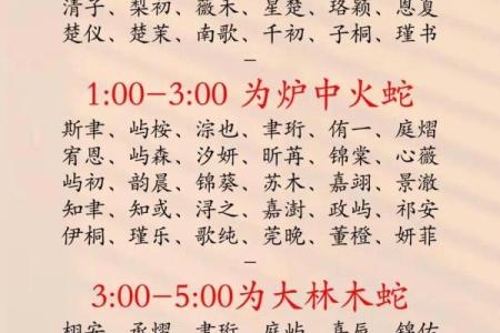 2019年4月29号辰时出生的男孩起名时要注意什么姓名